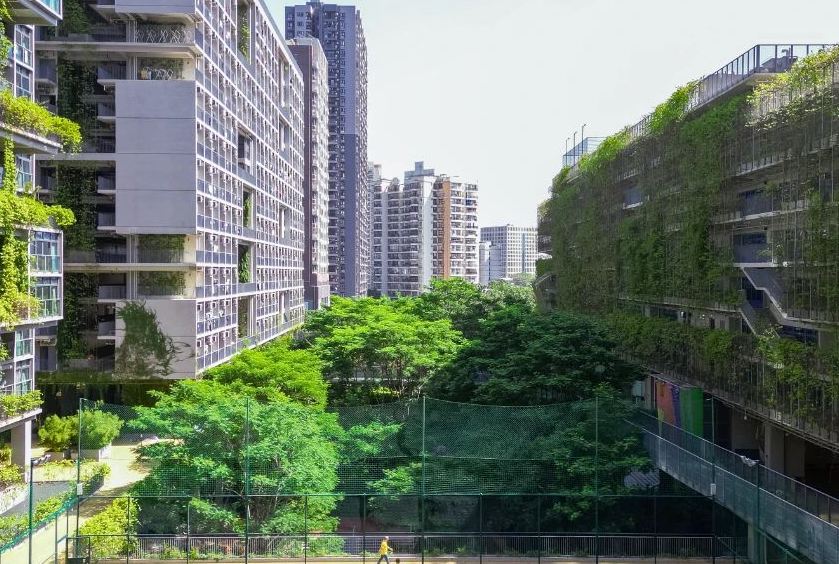 深国交3月16日首考数学难度如何？考生这样评价&hellip;&hellip;