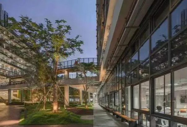 高度还原！2025深国交首考英语一手考情复盘