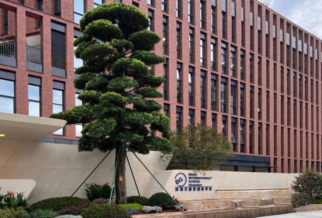 错过再等一年，今年8月1日，进贝赛思的最后机会！附冲刺攻略！