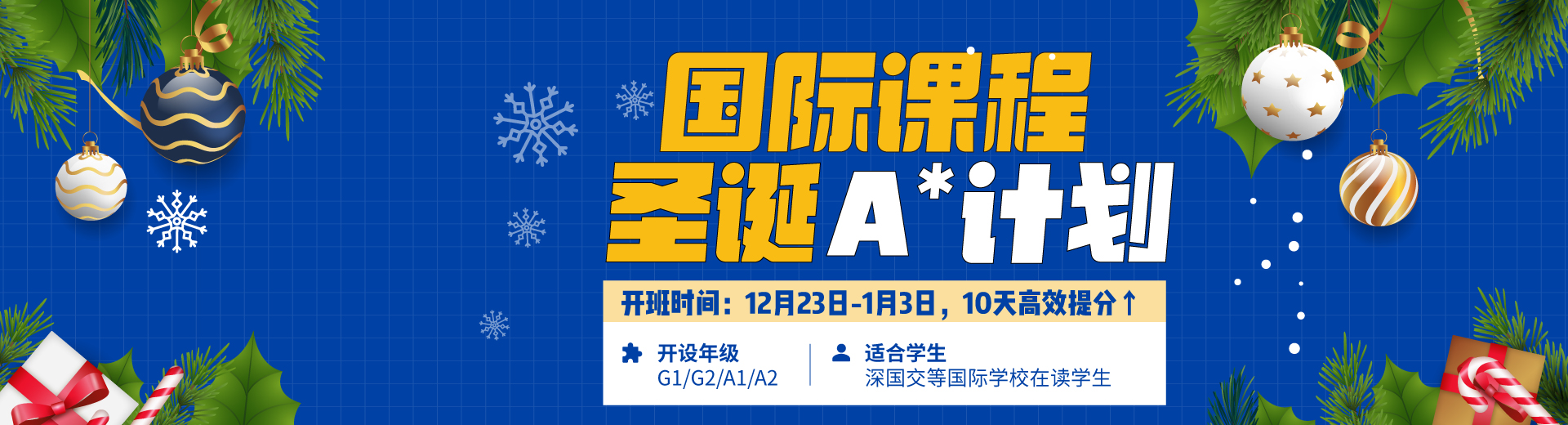 国际学校同步课程